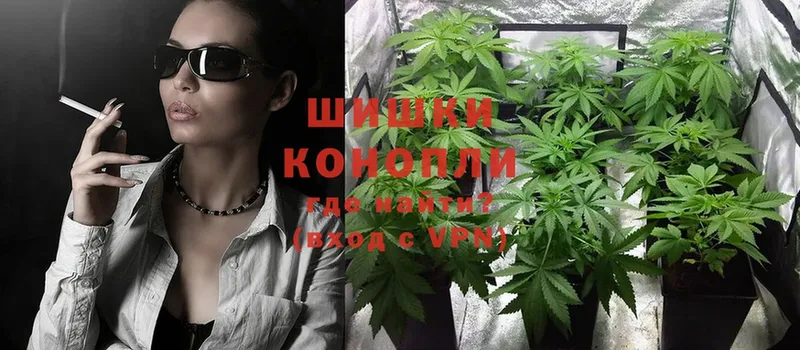 блэк спрут сайт  купить закладку  Приволжск  Бошки марихуана SATIVA & INDICA 